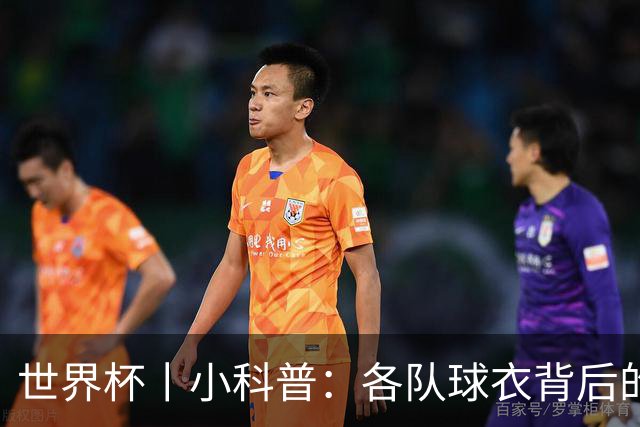 世界杯丨小科普：各队球衣背后的故事
